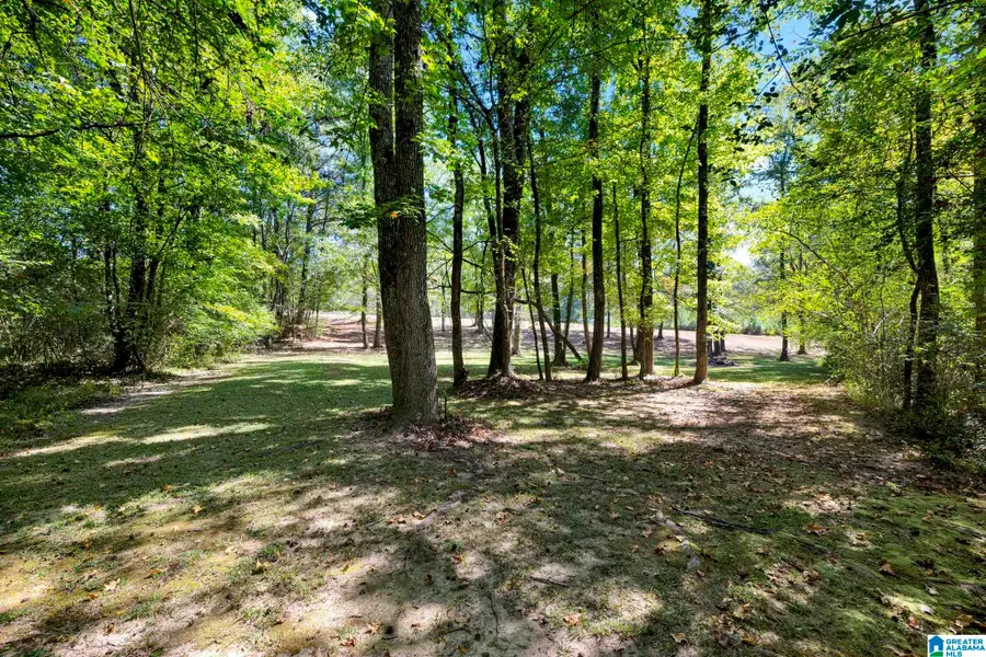 9152 BRADFORD TRAFFORD ROAD, Pinson, AL 35126 - #3