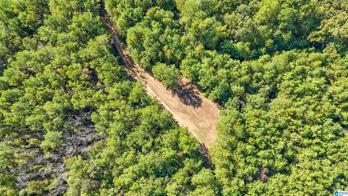 0 MONTEVALLO ROAD, Centreville, AL 35042 - #1