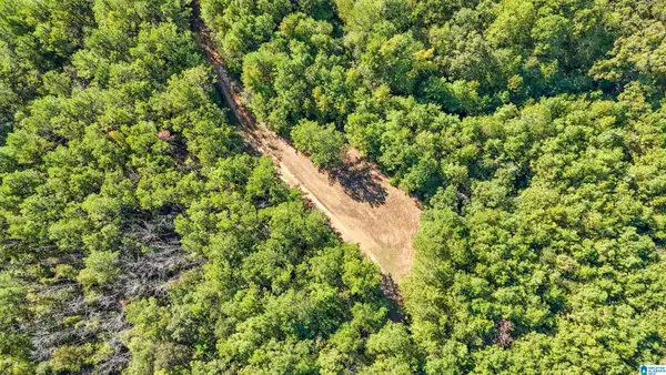 0 MONTEVALLO ROAD, Centreville, AL 35042