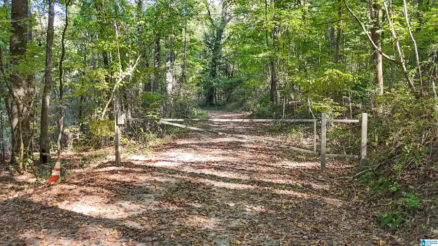 0 MONTEVALLO ROAD, Centreville, AL 35042 - #2