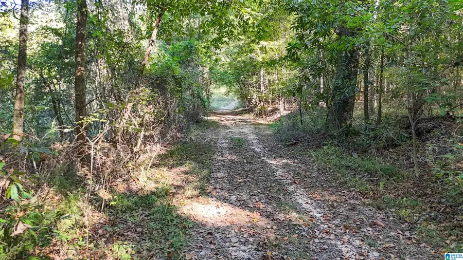 0 MONTEVALLO ROAD, Centreville, AL 35042 - #3