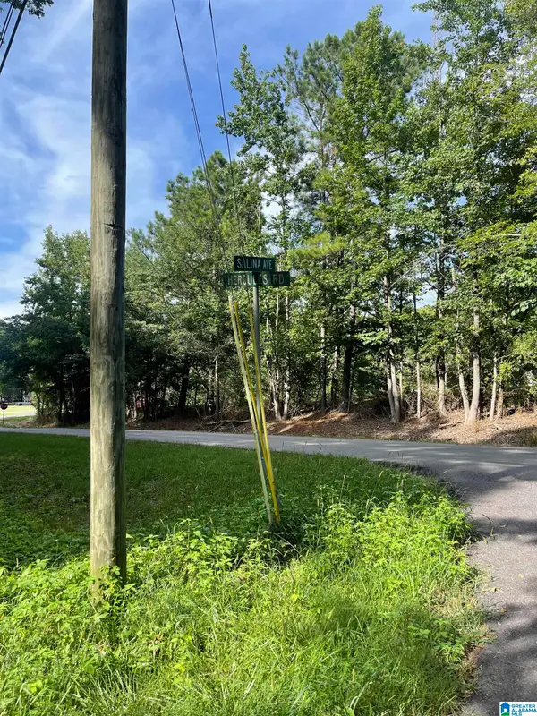 5300 SALINA AVENUE, Bessemer, AL 35022