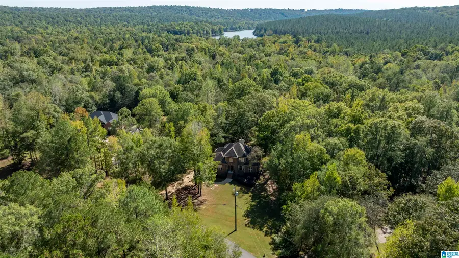 750 HIDDEN RIDGE, Chelsea, AL 35043 - #3