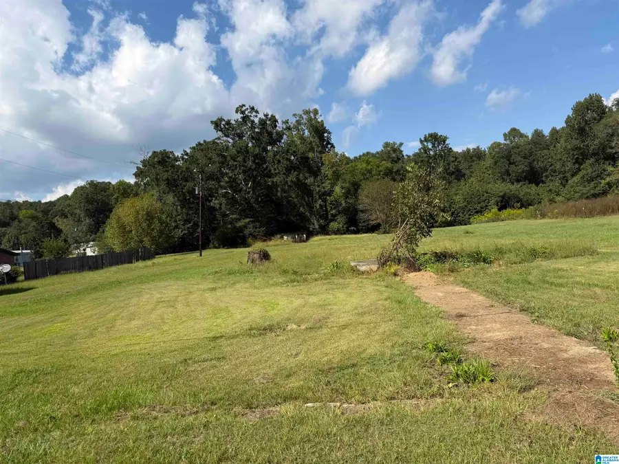 188 SHAW LANE, Sylacauga, AL 35150 - #3
