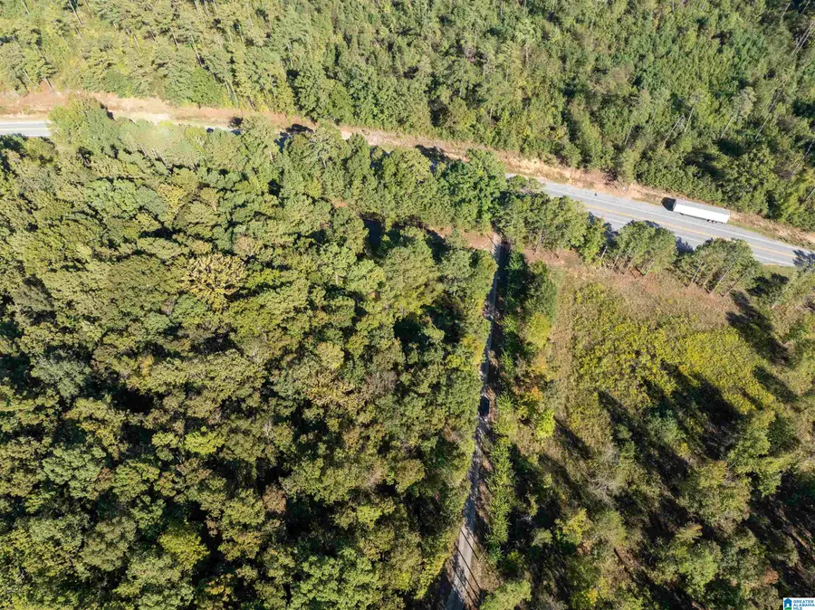 0 AL HIGHWAY 9, Piedmont, AL 36272 - #3