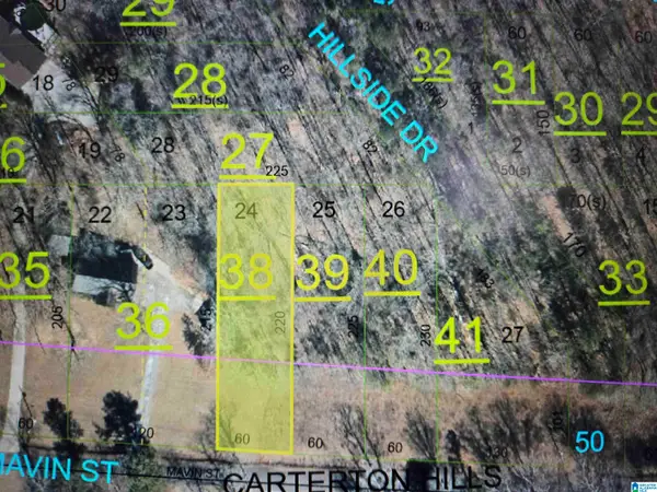 Lot 24 MAVIN STREET, Oxford, AL 36203