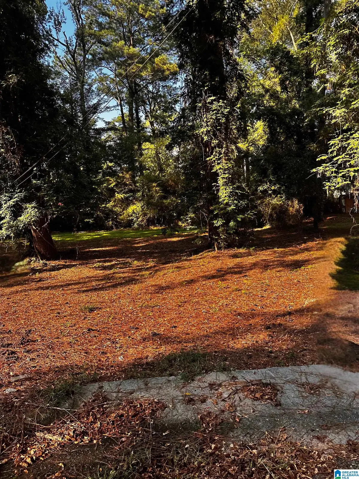 1316 KENTUCKY AVENUE, Gadsden, AL 35903 - #1