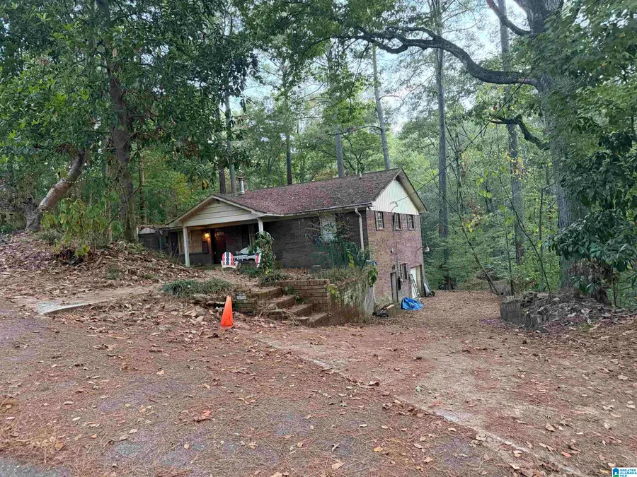 13194 BLUE GILL LANE, Lake View, AL 35111 - #3