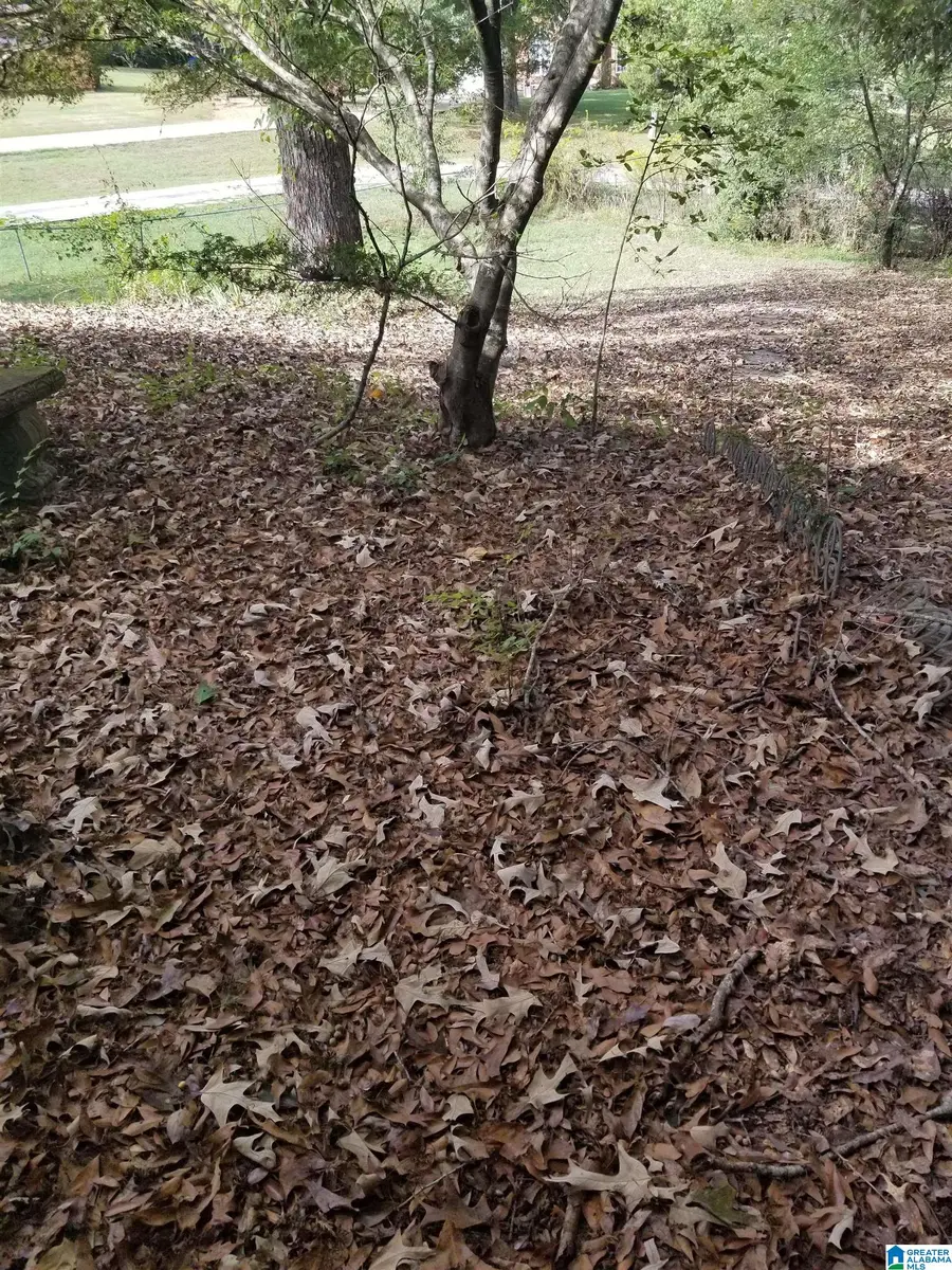 6379 MAYS BEND ROAD, Pell City, AL 35128 - #3