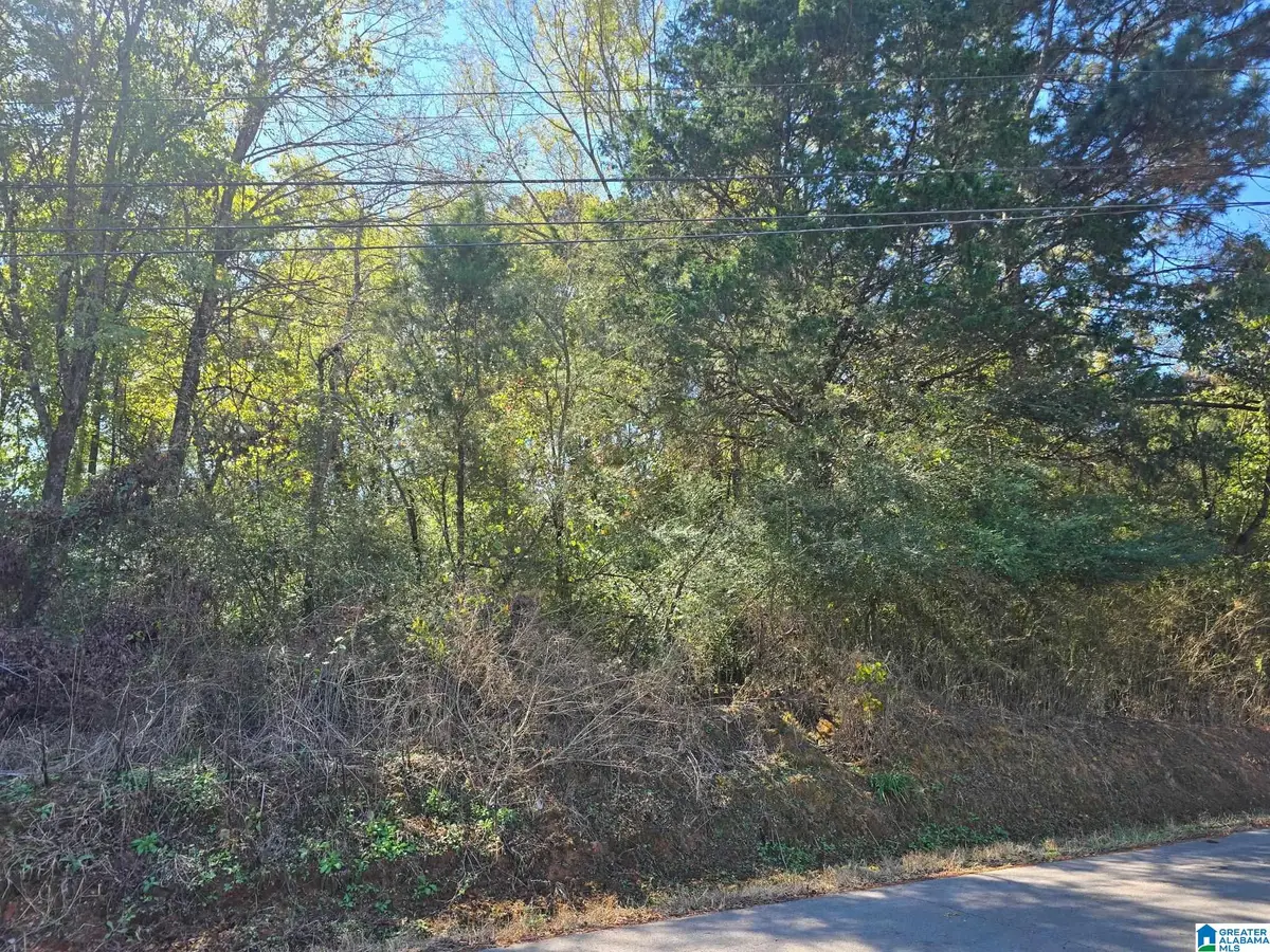 lot 3 UNION HILL CHURCH ROAD, Hanceville, AL 35077 - #1