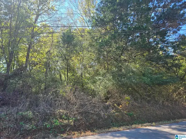 lot 3 UNION HILL CHURCH ROAD, Hanceville, AL 35077