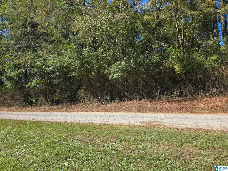lot 3 UNION HILL CHURCH ROAD, Hanceville, AL 35077 - #3