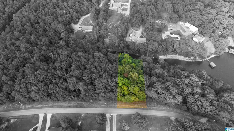 OSPREY DRIVE, Pell City, AL 35128 - #2