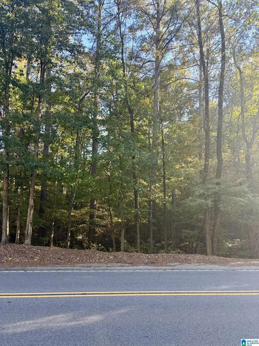 Lot 31 ROCK CREEK DRIVE, McCalla, AL 35111 - #2