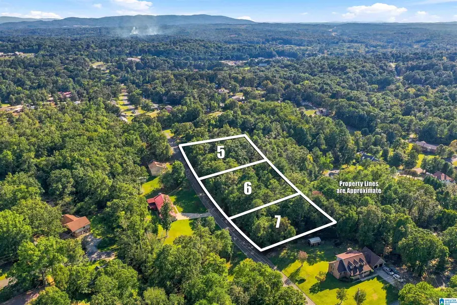 HOLLY TRACE, Anniston, AL 36206 - #2