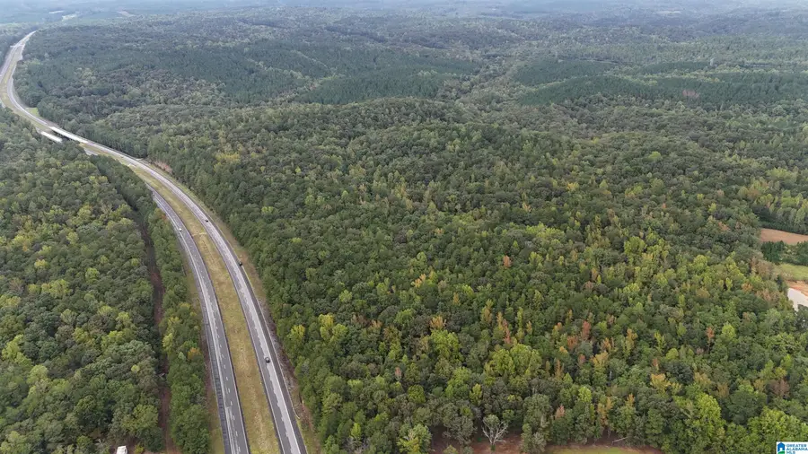 0 HIGHWAY 280, Goodwater, AL 35072 - #2