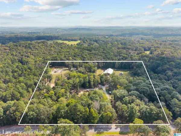 700 WILDWOOD ROAD, Pell city, AL 35125