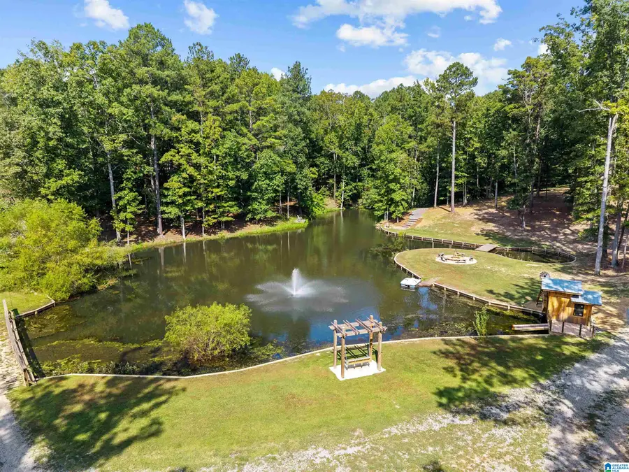 700 WILDWOOD ROAD, Pell City, AL 35125 - #2