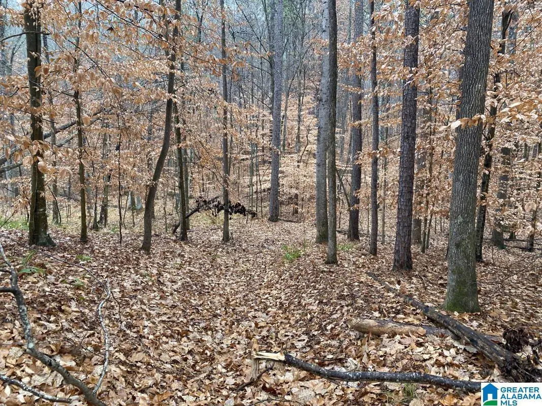 6809 HIGHWAY 11, Pelham, AL 35124 - #1