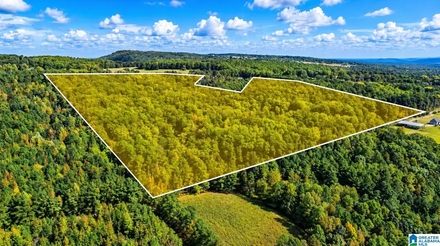0 COUNTY HIGHWAY 45, Hayden, AL 35079 - #2