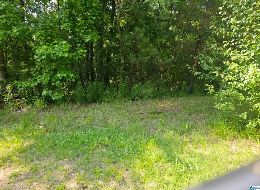 275 MILLER STREET, Margaret, AL 35120 - #3