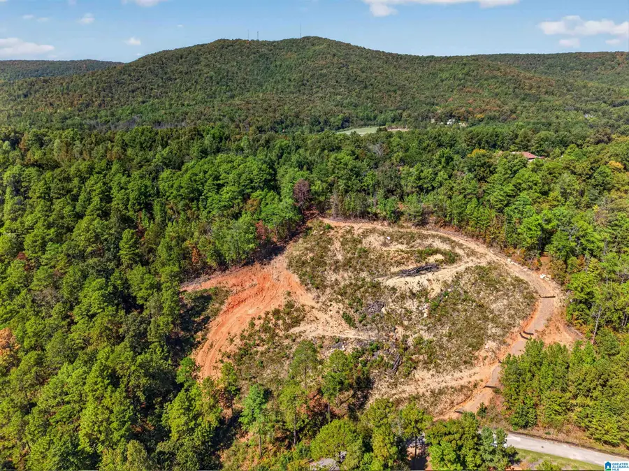 231 CRYSTAL COVE, Oxford, AL 36203 - #2