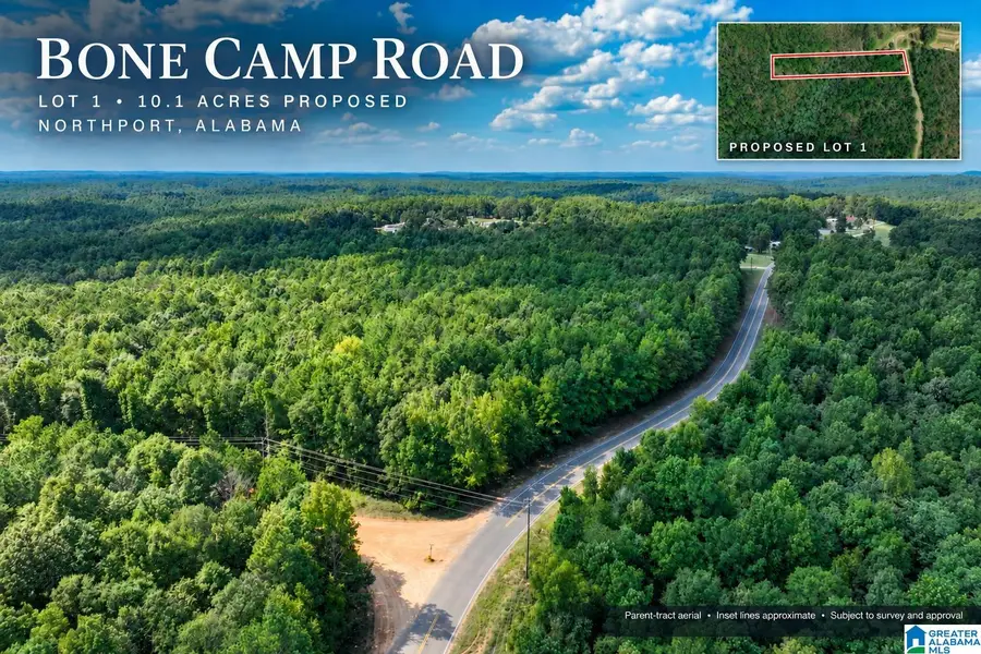 0 BONE CAMP ROAD, Northport, AL 35475 - #2