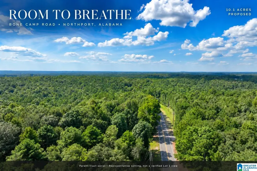 0 BONE CAMP ROAD, Northport, AL 35475 - #3