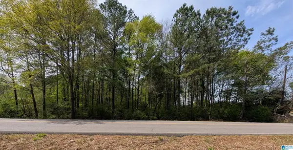 9146 LOCK 17 ROAD, Adger, AL 35006