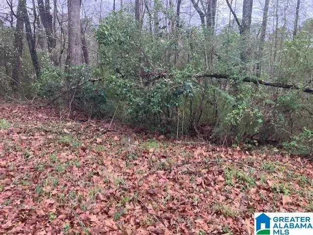 918 PINEHAVEN DRIVE, Hueytown, AL 35023 - #2