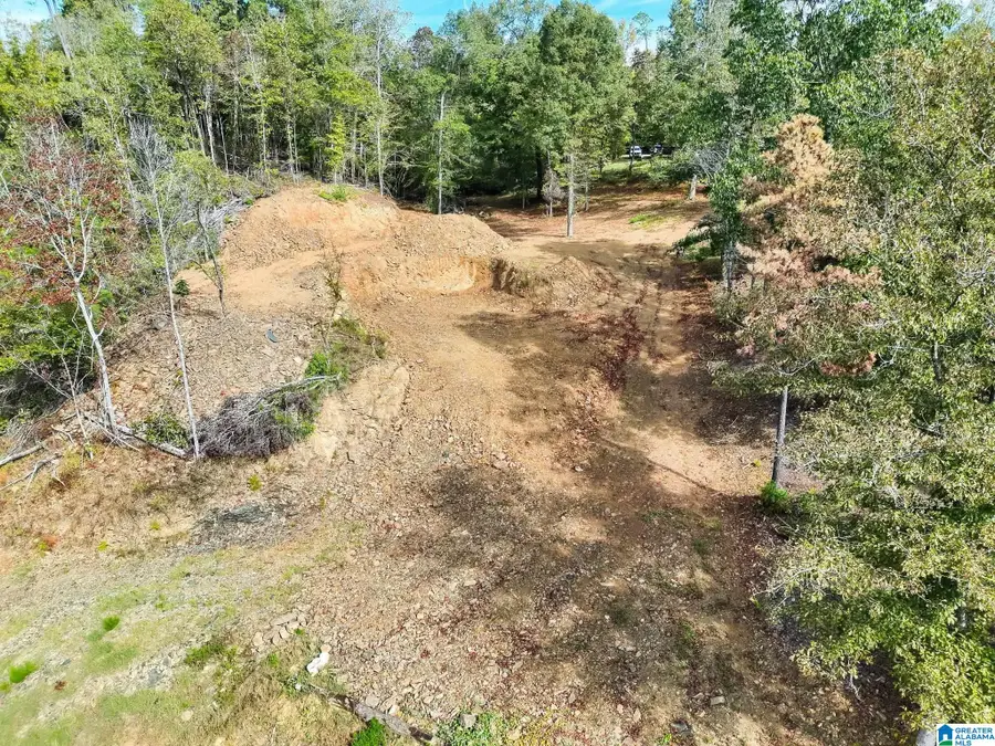 0 WHISTLER WAY, Clanton, AL 35046 - #2