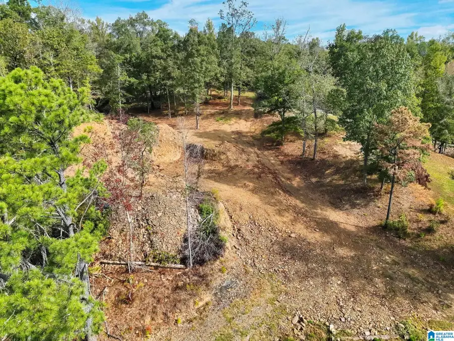 0 WHISTLER WAY, Clanton, AL 35046 - #3