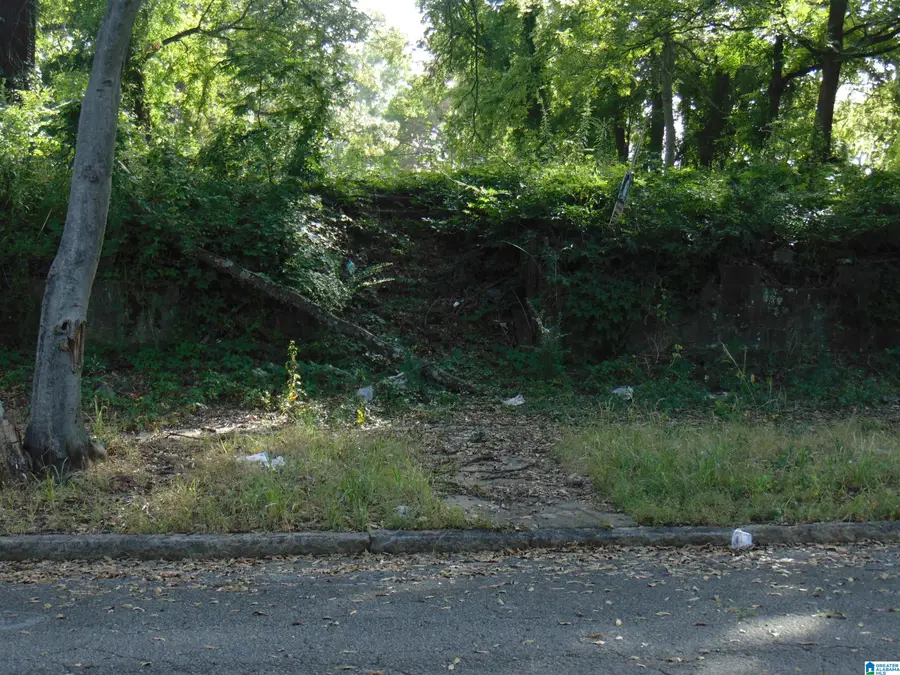 1118 N 29TH STREET, Birmingham, AL 35234 - #2
