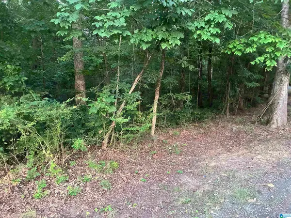 1119 SHORTOWN BRANCH ROAD, Bessemer, AL 35023