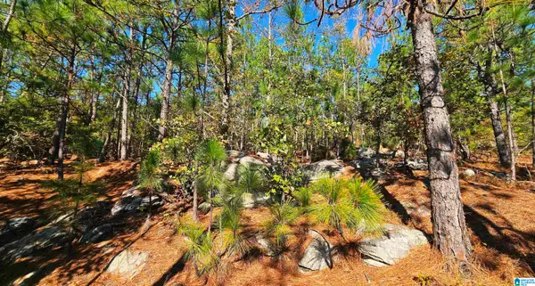 0 KANASITA DRIVE, Pell city, AL 35128