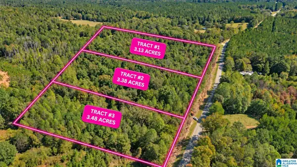 Tract 2 LEES BRIDGE ROAD, Delta, AL 36258