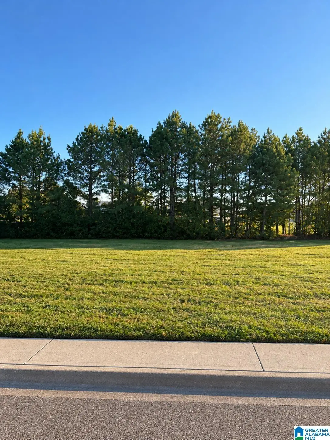 361 FARMINGDALE LANE, Harpersville, AL 35078 - #1