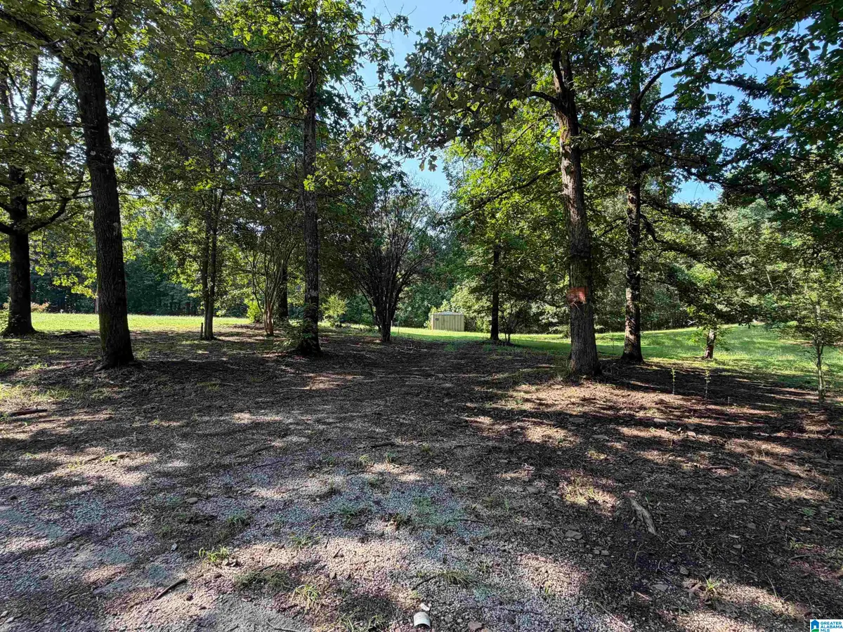 497 JAY LANE, Empire, AL 35063 - #1