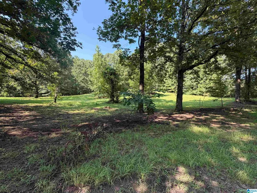 497 JAY LANE, Empire, AL 35063 - #2
