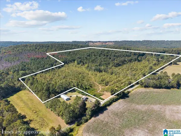0 DOUGLAS LANE, Oneonta, AL 35121