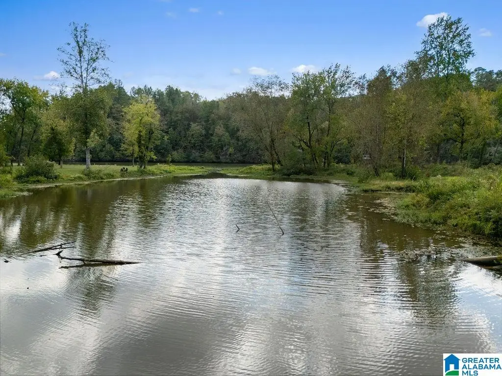 404 MULBERRY HOLLOW, Cordova, AL 35550 - #1