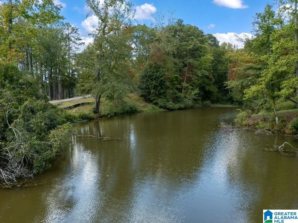 354 MULBERRY HOLLOW, Cordova, AL 35550 - #1