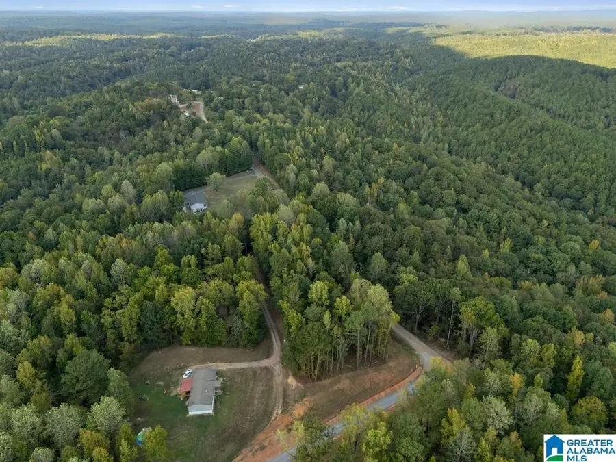 266 MULBERRY HOLLOW, Cordova, AL 35550 - #2