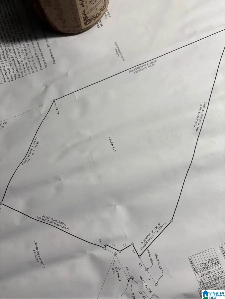 821 SUNSHINE AVENUE, Oneonta, AL 35121 - #2