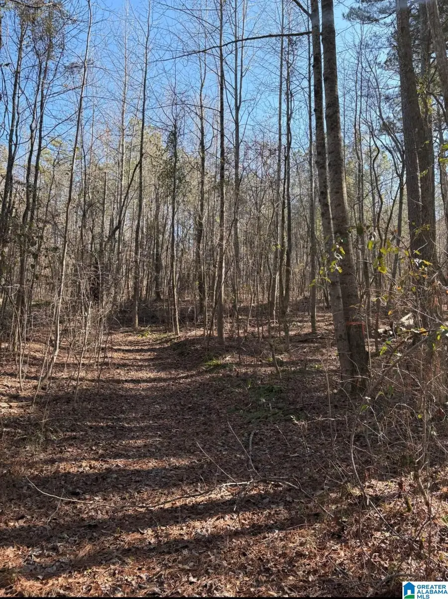 821 SUNSHINE AVENUE, Oneonta, AL 35121 - #3