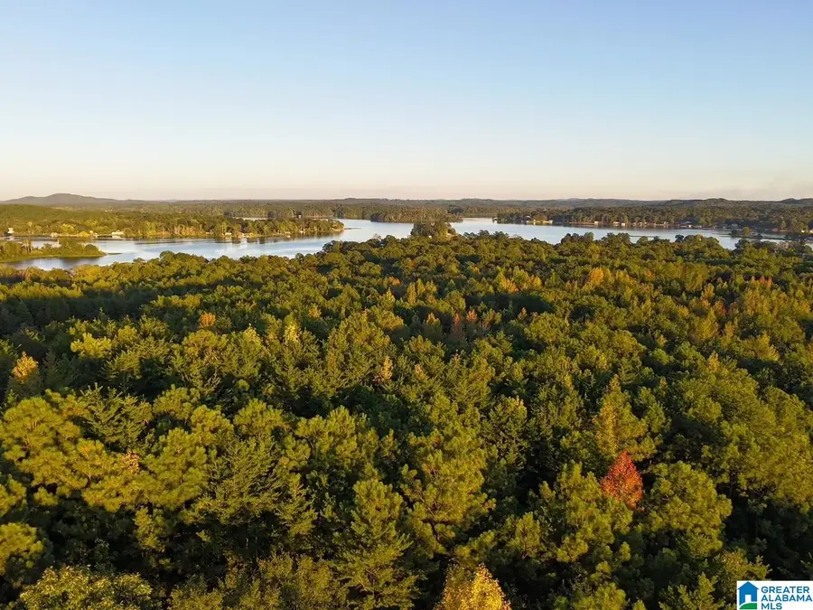 5243 HIGHWAY 71, Shelby, AL 35143 - #2