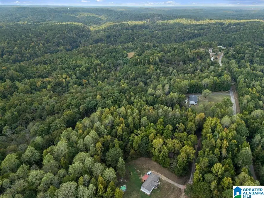 150 MULBERRY HOLLOW, Cordova, AL 35550 - #2