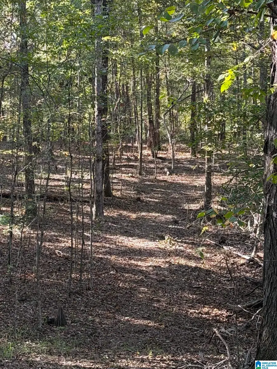 LAKE ROAD, Odenville, AL 35120 - #2