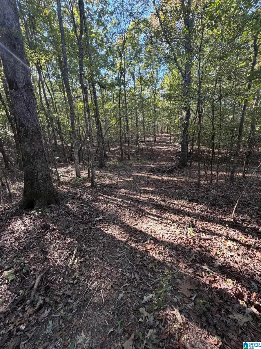 LAKE ROAD, Odenville, AL 35120 - #3
