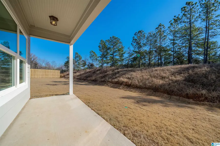 5417 STONEPEAK PARKWAY, Trussville, AL 35173 - #3